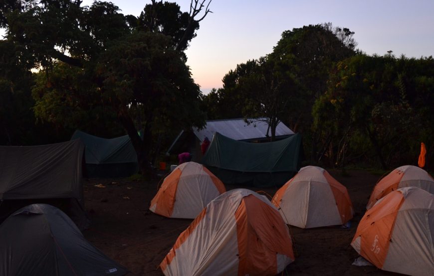 Kilimanjaro Summit & Safari Adventure