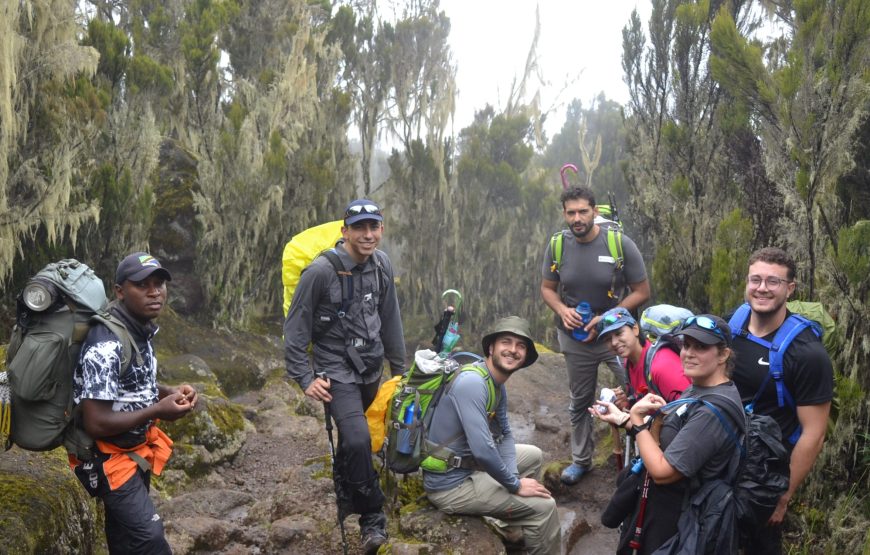 Kilimanjaro Machame Expedition