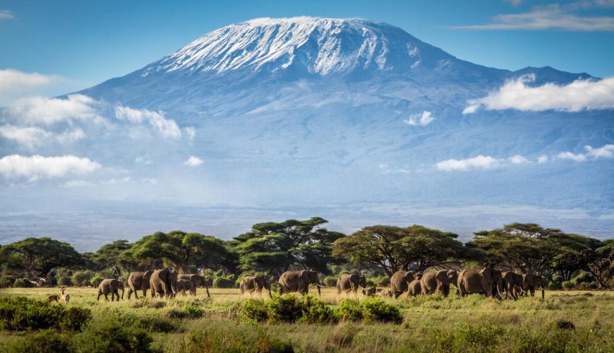 Kilimanjaro Summit & Safari Adventure